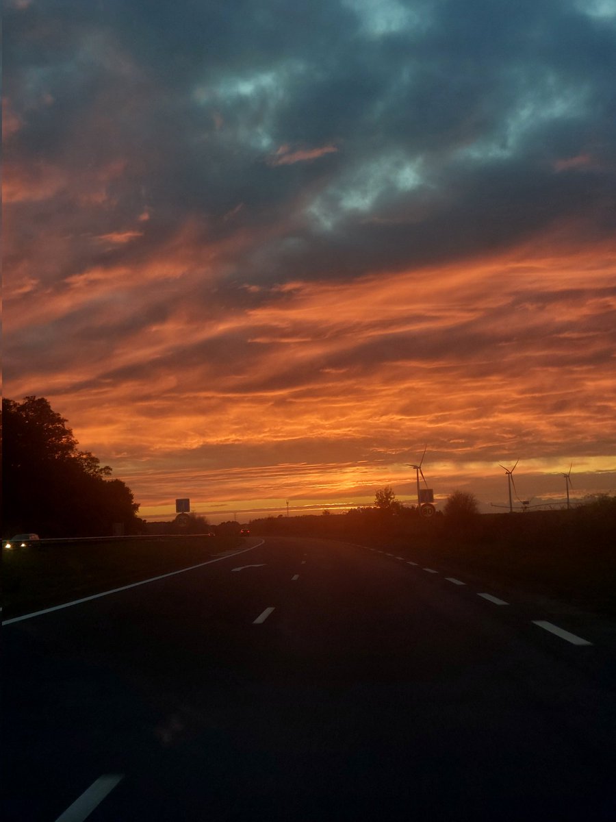 Mathildetwit98's tweet image. Novembre 2024: 🌆🪔🍂