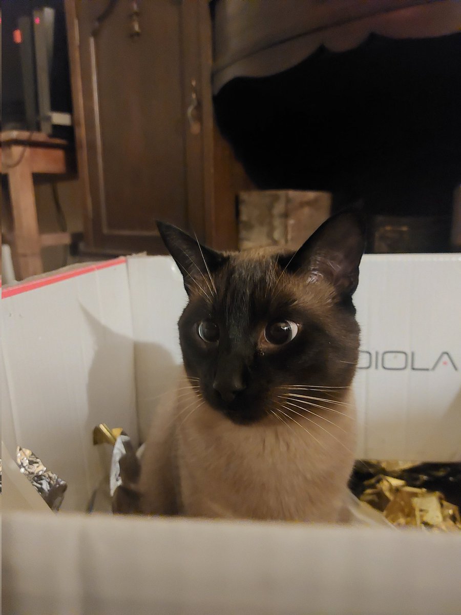 Mathildetwit98's tweet image. Novembre 2024: 🌆🪔🍂