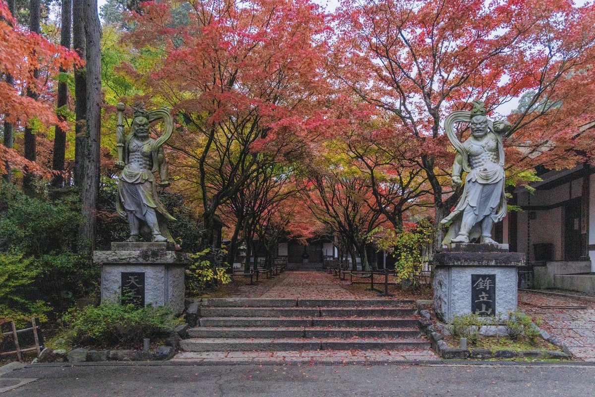 呑山観音寺紅葉祭り🍁
まだまだ楽しめるけど、見頃は今週末くらいまでかな🤔