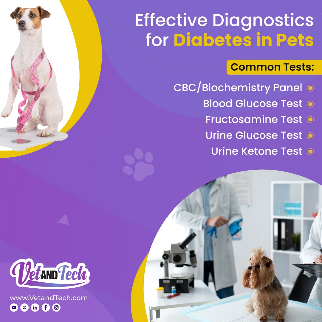 VetandTech's tweet image. Spot the signs for better care!

Swipe and learn the clinical signs and diagnostic tests to offer your furry patients optimal treatment. 

Download the VetRefs app today!

Google Play: tinyurl.com/2yxncmh9

#VetRefs #VeterinaryTools #VetTech #VetCare #DiseaseDatabase