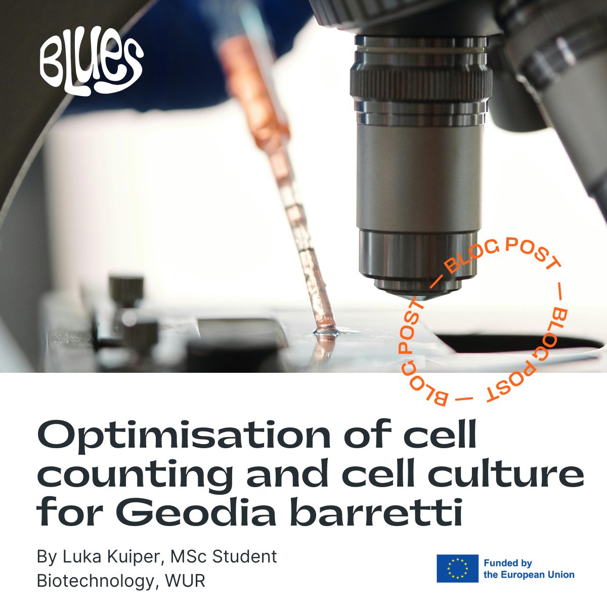 BLUES (@blues_eu) on Twitter photo There's progress on our path to unlocking the potential of marine invertebrates 🔬
Our latest blog post gives you a glimpse into the work done at <a href="/WUR/">Wageningen U&R</a> for scalable, sustainable production of sponge-derived compounds. ⬇️
projectblues.eu/news/3/optimis… There's progress on our path to unlocking the potential of marine invertebrates 🔬
Our latest blog post gives you a glimpse into the work done at <a href="/WUR/">Wageningen U&R</a> for scalable, sustainable production of sponge-derived compounds. ⬇️
projectblues.eu/news/3/optimis…