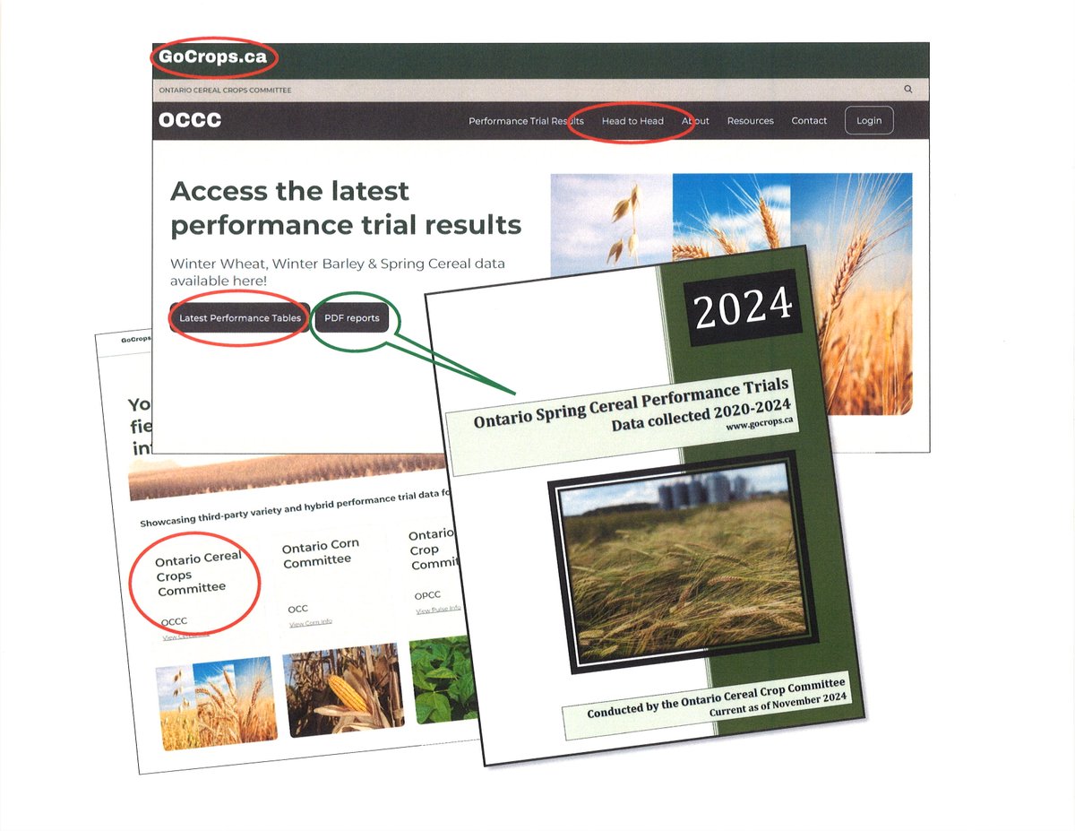 Hey #ontag! 2024 OCCC Spring Cereal reports are now available on gocrops.ca #JustInTimeForChristmasShopping 😉 <a href="/JoFollings/">Joanna Follings</a> <a href="/WheatPete/">Peter Johnson</a> <a href="/GrainFarmers/">Grain Farmers of Ontario</a>