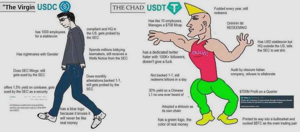 Scetti2336's tweet image. Ever wondered what makes 💕 Danika King so unforgettable?