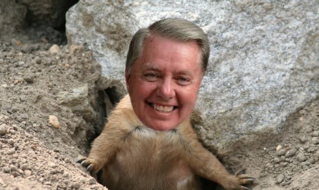 youinview's tweet photo. @TRHLofficial I have no official comment on that, but I did check my official WWIII predictor too this morning and Lindsey did not see his shadow! WWIII starts today! Isn’t he cute! https://t.co/hSLNwhquyc