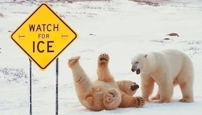 Transwaste (@transwaste) on Twitter photo Did you get caught out by the ice and snow this morning?! ๐ฅถ
Get prepared for the winter by placing your Rock Salt order today. 
Call Hannah - 01482 770111 or email aggregates@biowoodservices.co.uk โ๏ธ Did you get caught out by the ice and snow this morning?! ๐ฅถ
Get prepared for the winter by placing your Rock Salt order today. 
Call Hannah - 01482 770111 or email aggregates@biowoodservices.co.uk โ๏ธ