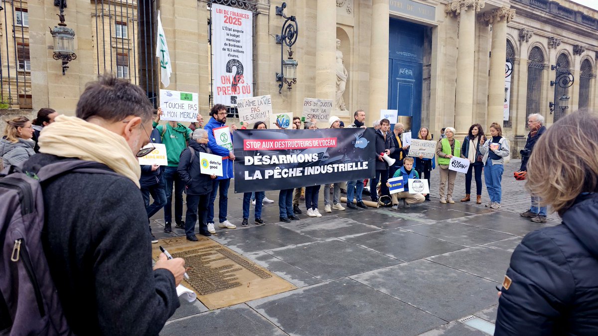 Karfa Sira DIALLO 🥝 🇸🇳 🇨🇵 🇭🇹 🇵🇸 tweet media