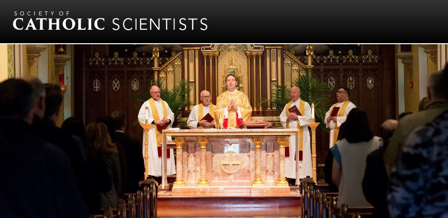 The Society of Catholic Scientists provides a wide range of free content on everything from the origin of the universe to consciousness and free will. Please help the Society expand its library of content by contributing to our 2024 fundraising drive here: catholicscientists.org/donate/