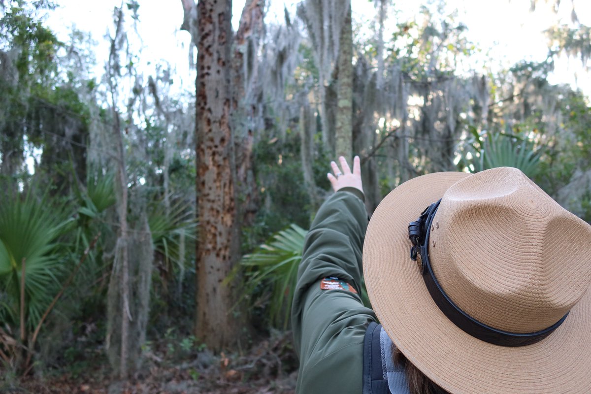 Reconstruction Era National Historical Park invites you to attend a free Junior Ranger Park Explorer Program at Camp Saxton on November 29, 2024 any time between 11 am and 2 pm. Learn more on our website: ow.ly/SfHZ50U9WIJ