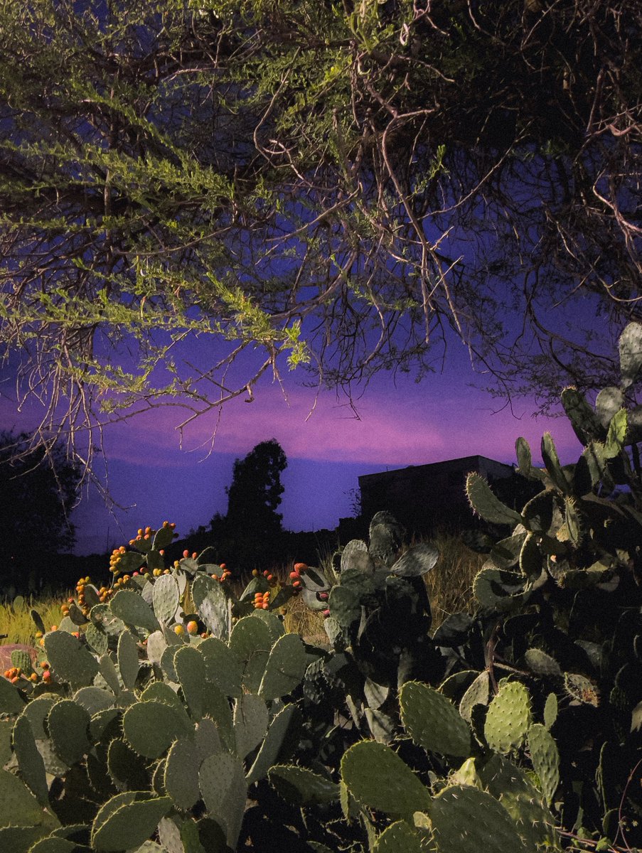 وفي الشفا وجدت الشفاء