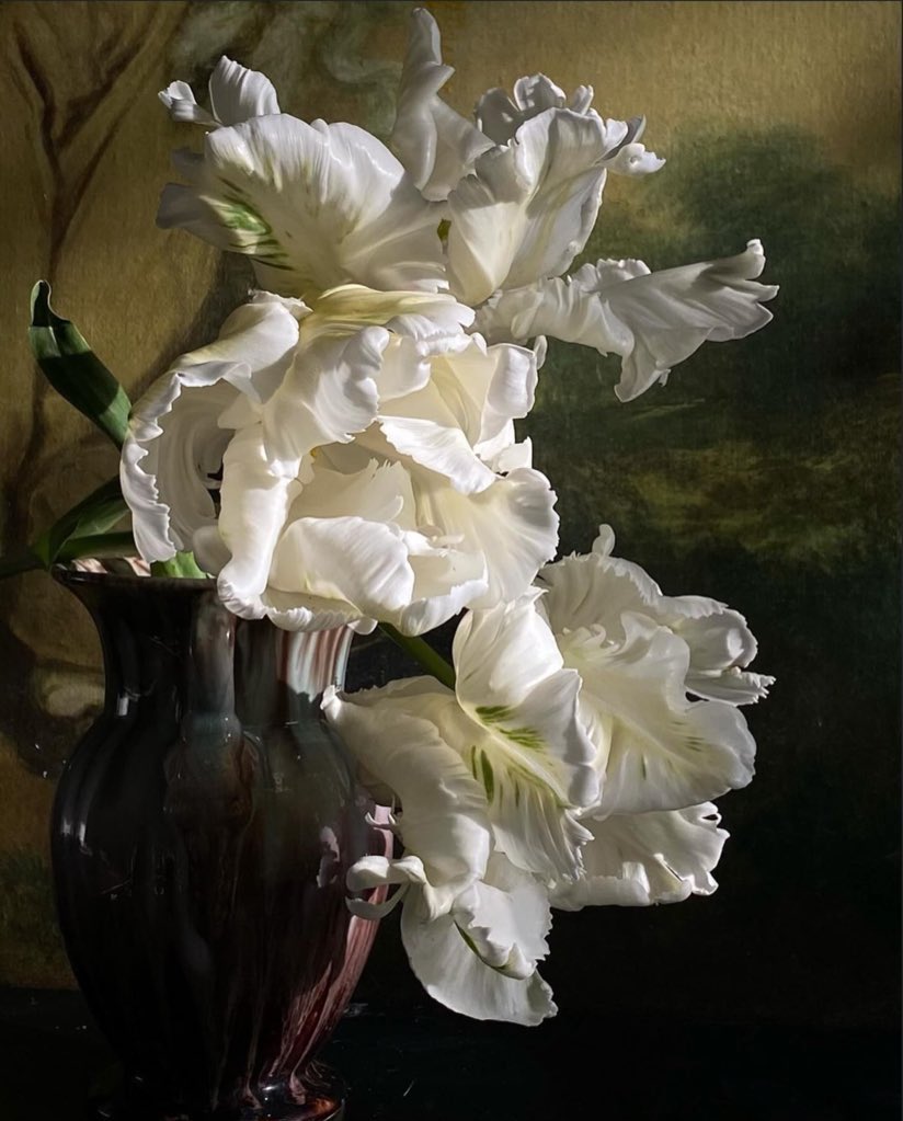 gal౨ৎ tweet media