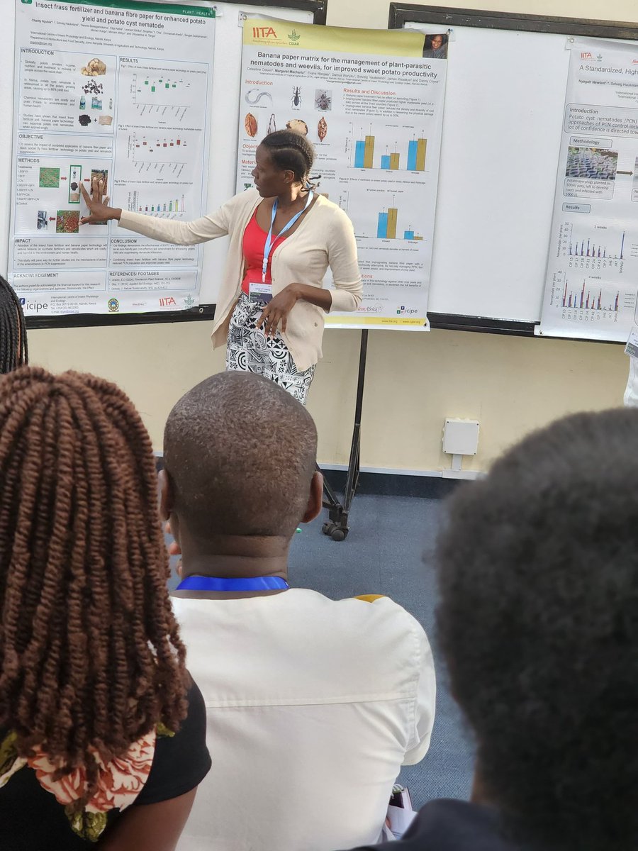 iarsaf_iita's tweet photo. Poster presentations at ICIPE, Kenya...
Picture 1
Margaret presenting on management of nematodes &amp; weevils...
Picture 2
Charity presenting frass fertilizer and banana paper...
Picture 3
Letrixie presenting on effectiveness of different formulations of banana fibre

#iarsaf2024 https://t.co/rEr3lwpSyh