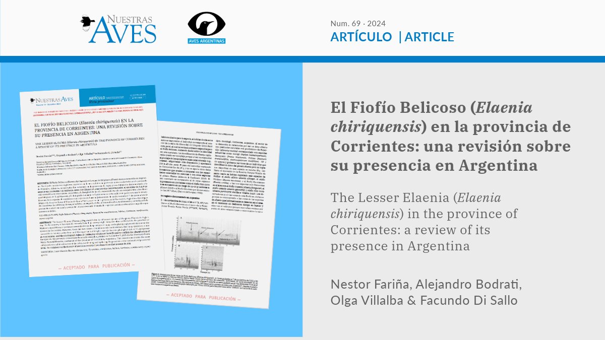 #NuestrasAves
[ARTÍCULO] ES
El Fiofío Belicoso (Elaenia chiriquensis) en la provincia de Corrientes: una revisión sobre su presencia en Argentina
🔓 Accedé GRATIS acá bit.ly/48Z4sY4
✍️ Nestor Fariña, <a href="/alebodrati/">Alejandro Bodrati</a> Olga Villalba &amp; <a href="/FacuDiSallo/">Facu Di Sallo</a>