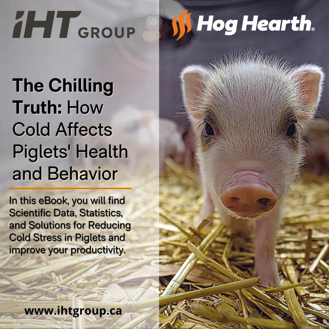 🐷 Are Your Piglets Protected from Cold Stress? ❄️
Cold stress can majorly impact piglet health, growth, and survival.
Our latest eBook dives into the effects of cold stress on piglet development. Fill out the form to download it for free!

👉share.hsforms.com/1-3Kyl0AqTs-Bd…