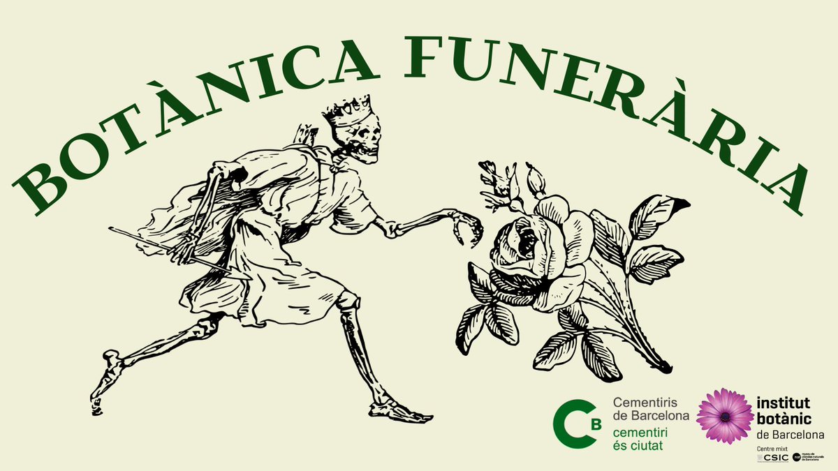 Institut Botànic de Barcelona (@ibb_botanic) on Twitter photo Sabies que la vegetació d’un cementiri no és aleatòria? 💀🌿Aprofitant les darreres sortides al cementiri de Montjuïc organitzades per l'<a href="/IBB_botanic/">Institut Botànic de Barcelona</a> i <a href="/CementirisBCN/">Cementiris de Barcelona</a> obrim les càpsules de #BotànicaFunerària ⚰️ Sabies que la vegetació d’un cementiri no és aleatòria? 💀🌿Aprofitant les darreres sortides al cementiri de Montjuïc organitzades per l'<a href="/IBB_botanic/">Institut Botànic de Barcelona</a> i <a href="/CementirisBCN/">Cementiris de Barcelona</a> obrim les càpsules de #BotànicaFunerària ⚰️