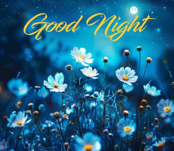 dpdinesh17's tweet image. Good night to all my x mate 
       Have a great night ✨️