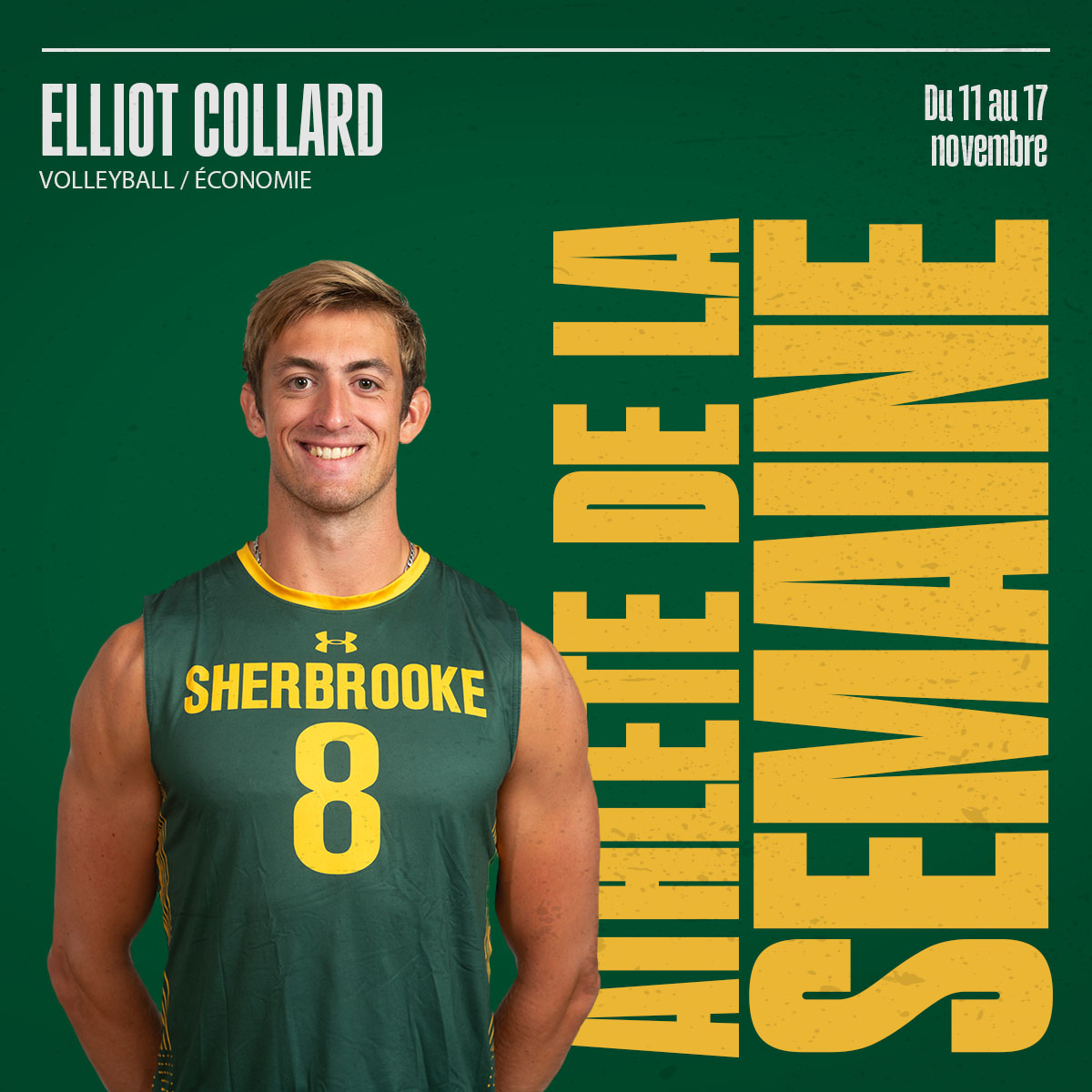 Vert & Or tweet media