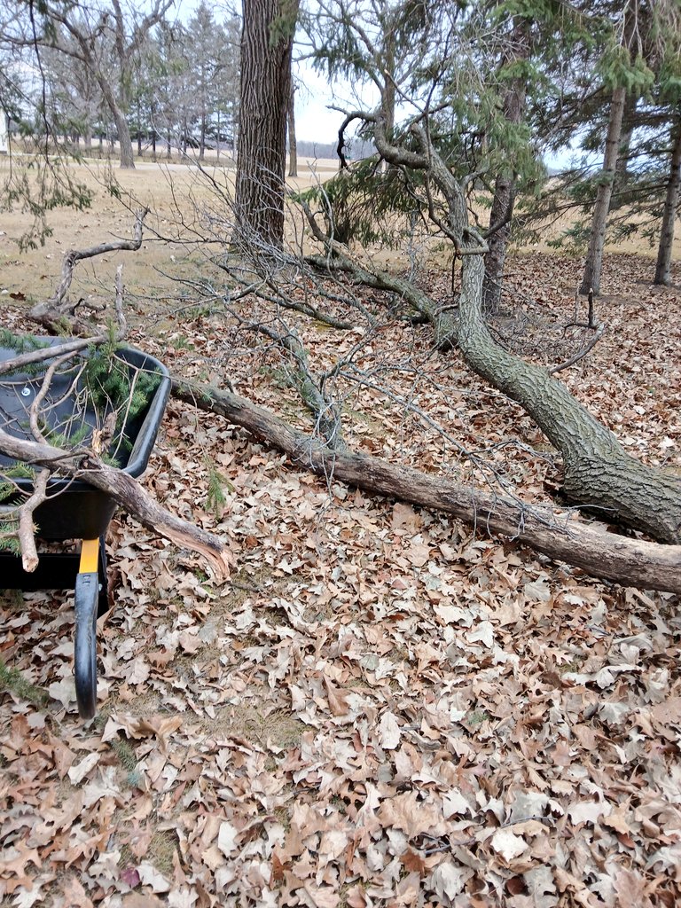 wineandhistory's tweet image. After the last two days of yardwork and cleaning up tree branches that have come down in the yard I'm kinda happy it's raining today...
#yardwork #homeowner #fallcleanup #toomanyleaves