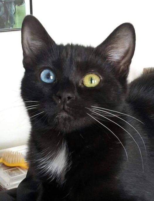 You won't regret liking the picture 😍❤️