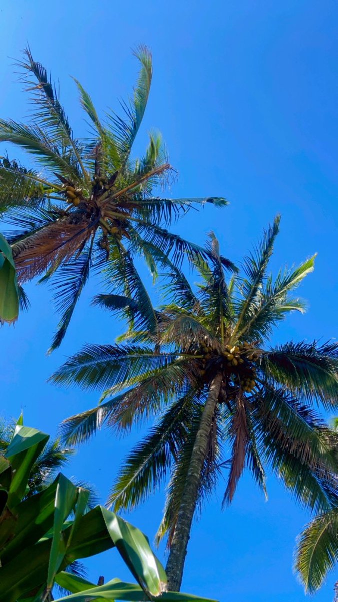 nattorres__'s tweet photo. todos os dias eu agradeço por tanta coisa sabe inclusive por agora morar perto da praia ♥️ https://t.co/KcqzzJSrE8