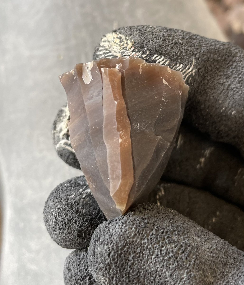 Shashi_B_Mehra's tweet photo. Learning Laminar!
Chasing Microliths 😋
#palaeolithic #paleolithic #archaeology #prehistoric #microliths #stonetools #knapping #experimental https://t.co/TYOCAQv5Fv