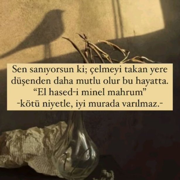 ayaserenat's tweet photo. https://t.co/OszSxacNw1