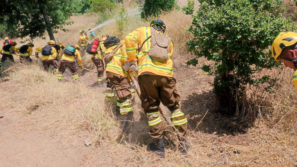 #AHORA | Un total de 3.755 kilómetros de cortafuegos se están ejecutando a nivel nacional, especialmente en las zonas de interfaz de mayor riesgo. 

👉 Así lo destacaron el ministro <a href="/MinagriCL/">Ministerio de Agricultura de Chile 🇨🇱</a> Esteban Valenzuela junto a la directora ejecutiva de #CONAF Aída Baldini y el director