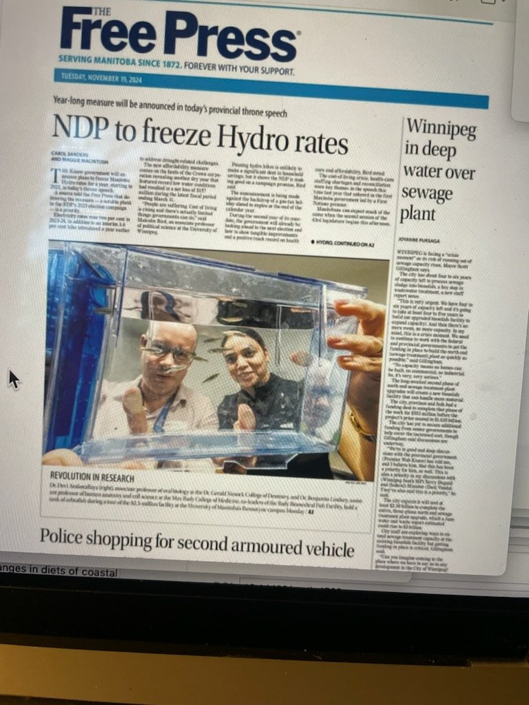 Lindsey Lab (@lindseylabgroup) on Twitter photo The power to repair in a tiny fish! Taking regenerative medicine to new heights at the University of Manitoba! <a href="/UM_RadyFHS/">U of M Rady Faculty</a> <a href="/umanitoba/">University of Manitoba</a> <a href="/um_HACS_GSA/">Human Anatomy & Cell Science Dept (HACS)</a> <a href="/StemCellNetwork/">Stem Cell Network</a> <a href="/manitobaneuro/">Manitoba Neuroscience Network</a> <a href="/can/">can</a> The power to repair in a tiny fish! Taking regenerative medicine to new heights at the University of Manitoba! <a href="/UM_RadyFHS/">U of M Rady Faculty</a> <a href="/umanitoba/">University of Manitoba</a> <a href="/um_HACS_GSA/">Human Anatomy & Cell Science Dept (HACS)</a> <a href="/StemCellNetwork/">Stem Cell Network</a> <a href="/manitobaneuro/">Manitoba Neuroscience Network</a> <a href="/can/">can</a>