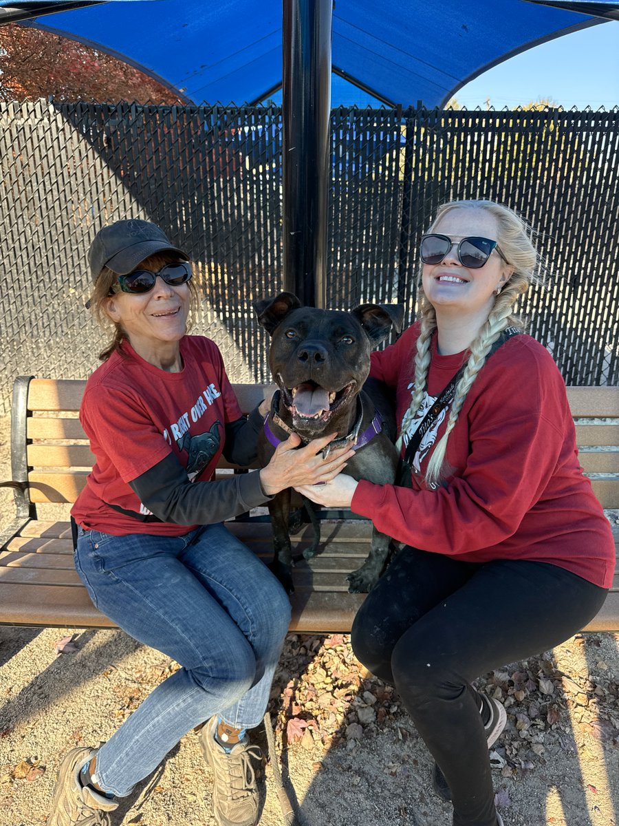 1470 days.

1470 sunrises and sunsets.

1470 of being loved by shelter staff and volunteers.

Smokey is our longest term resident. He has been in our case since November of 2020. He has so many friends here, and he gains more and more fans every day.