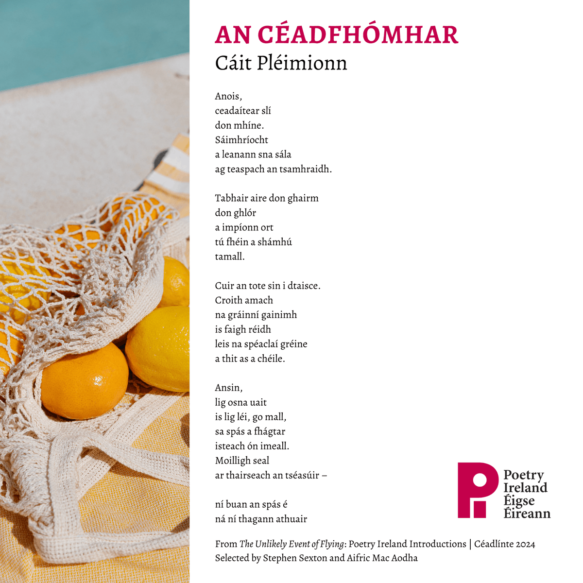 An Céadfhómhar by <a href="/caitpleimionn/">Cáit</a>

From The Unlikely Event of Flying: Poetry Ireland Introductions | Céadlínte 2024. Available for purchase through link in bio

Funded by <a href="/artscouncil_ie/">The Arts Council / An Chomhairle Ealaíon</a> &amp; the National Lottery through @artscouncilNI