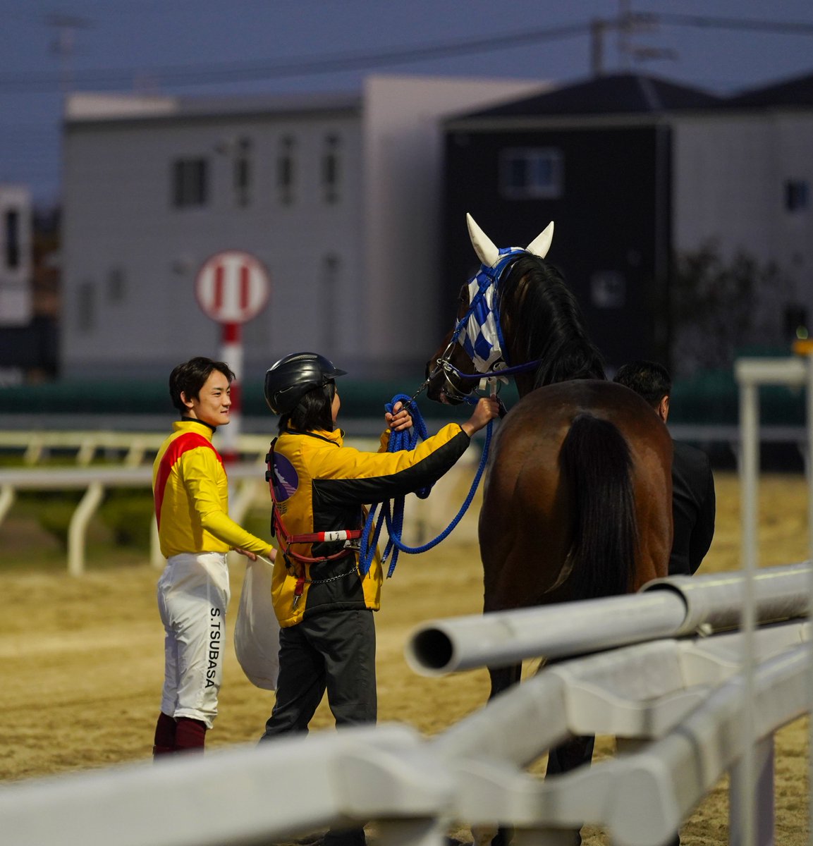 チーム・テイオー（トウカイテイオーファミリー応援団