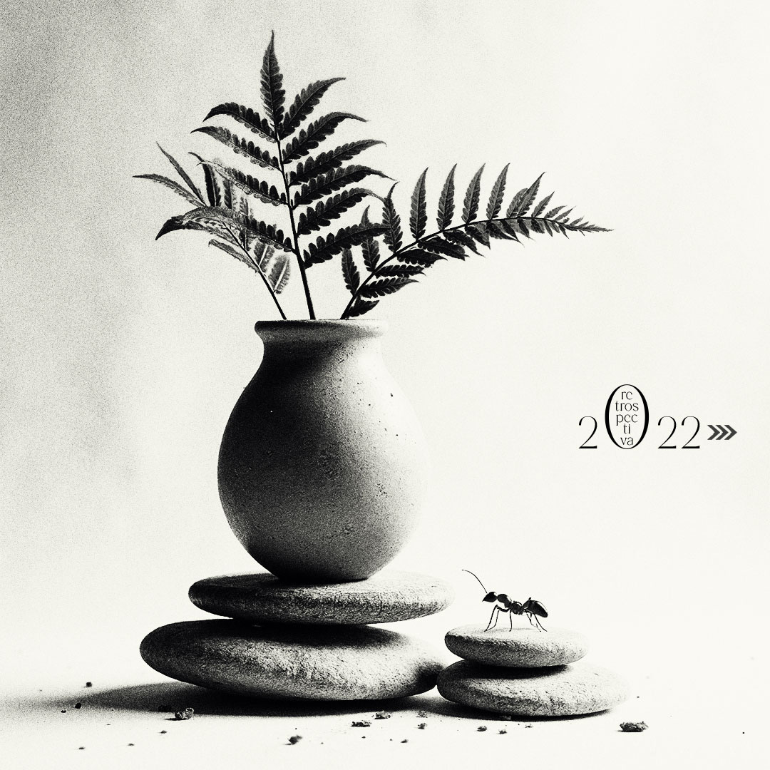 AlbertoDH21's tweet photo. •retrospectiva•
mi foto #zen de 2022. https://t.co/NqdgLxEljs