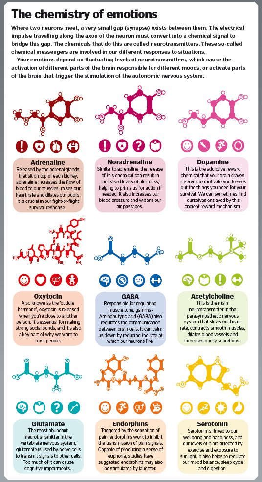 isciverse's tweet photo. 🎯The Brain and Science of Emotions (This post is a Thread)

1. The chemistry of emotions

Our ancient brains evolved the perfect way to keep us safe by controlling the chemicals in our mind to moderate our behaviour. https://t.co/mHPKeSlRPM