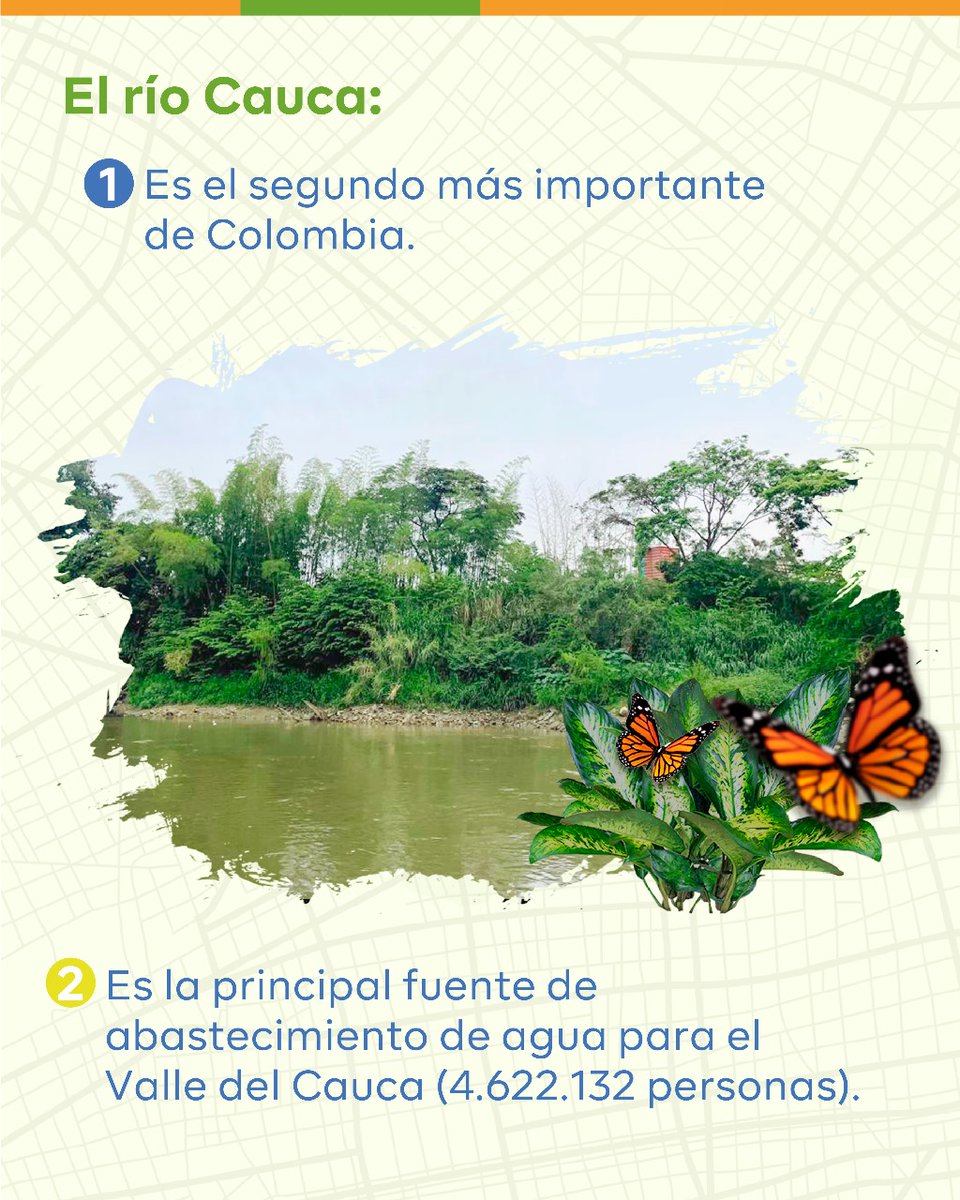 Plan Jarillón de Cali tweet media