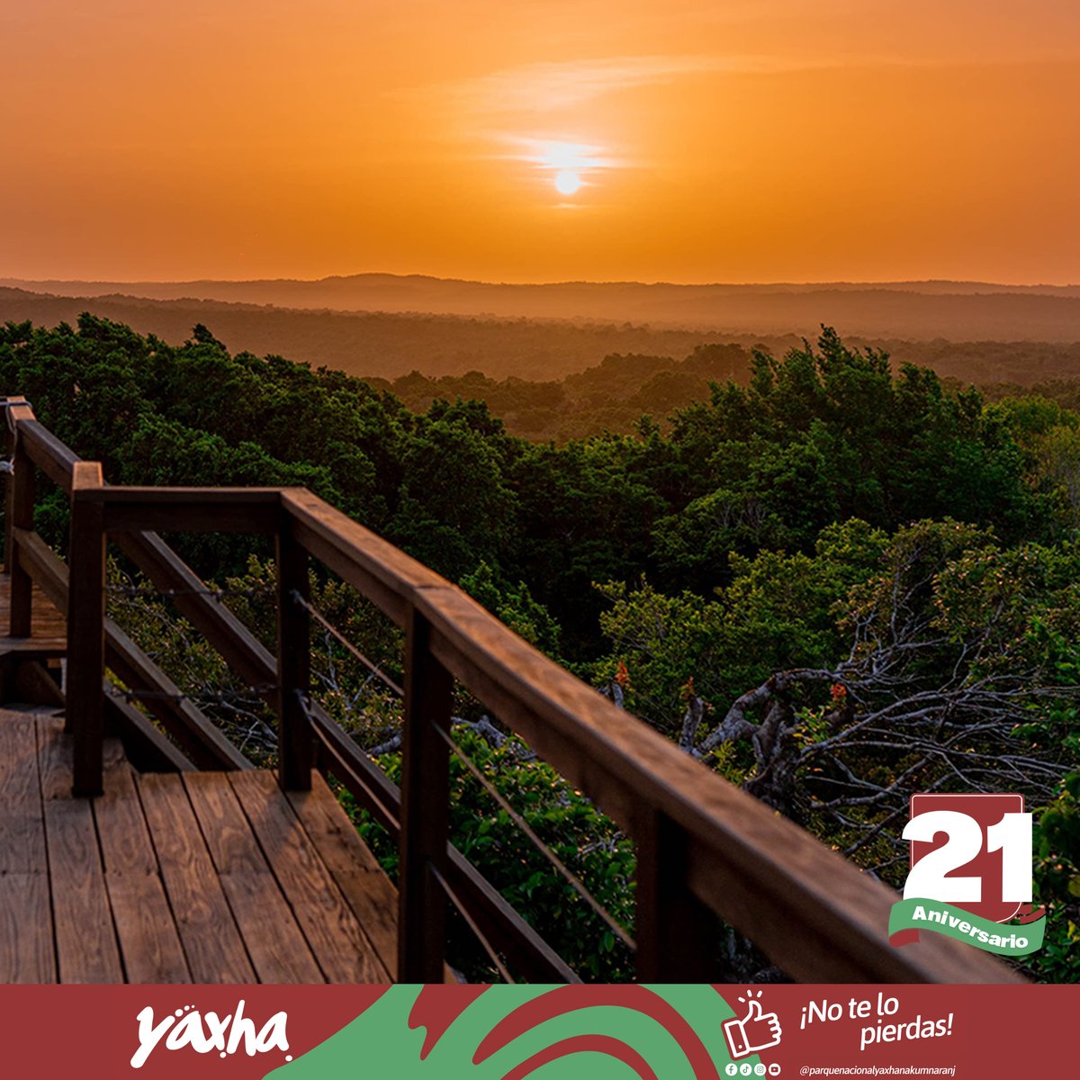 Hoy conmemoramos el aniversario del Parque Nacional Yaxha.

Gracias a cada visitante, investigador y amante de la naturaleza que ha formado parte de este recorrido. Juntos seguimos protegiendo este patrimonio invaluable para las futuras generaciones.

#CulturaMaya #Naturaleza