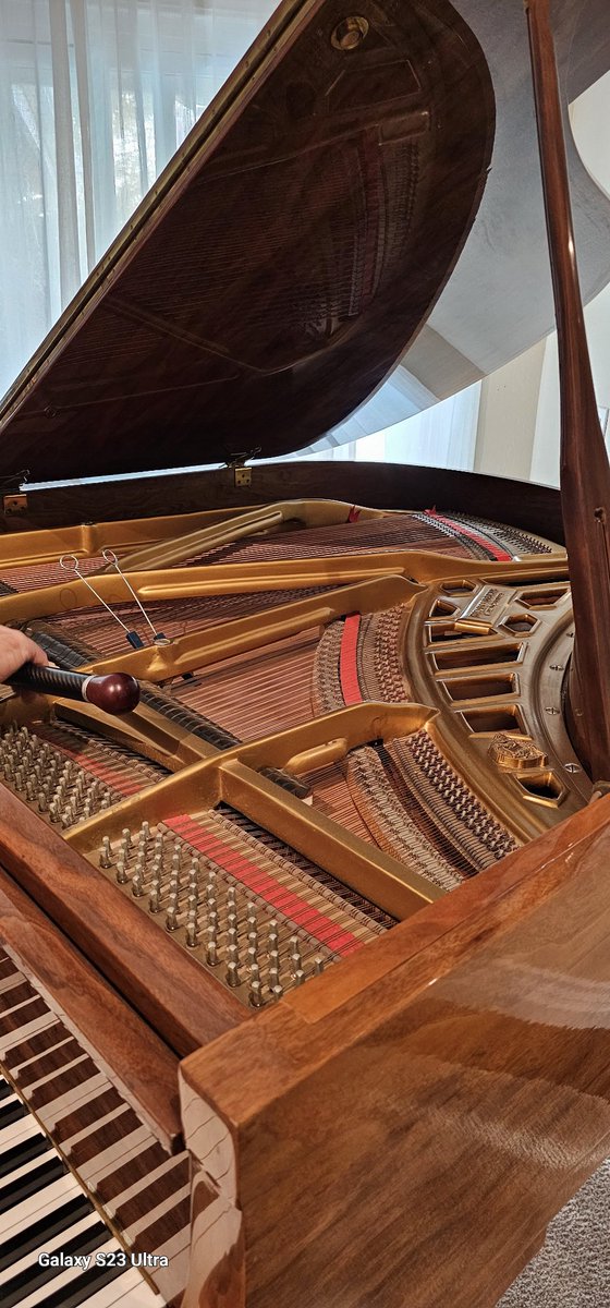 wsk90713's tweet image. Great  time to have your piano tuned 
Kamstrapianotuning.com
Schedule  you tuning on our web page🎹
#YAMAHA
#stienway 
#BLUTHNER 
#STIENWAY 
#piano
#Grand piano
#music