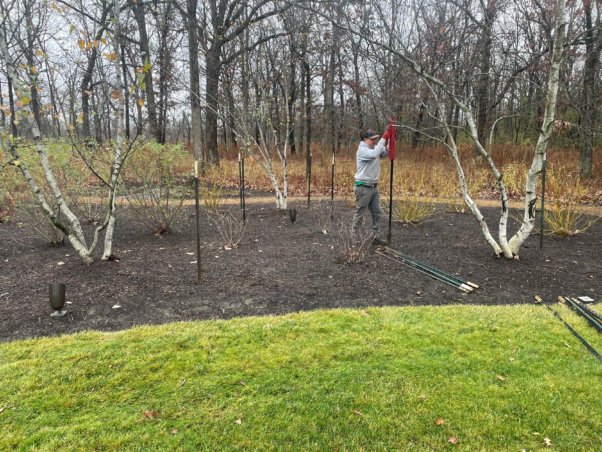 Milieu Landscaping (@milieulandscape) / Posts / X