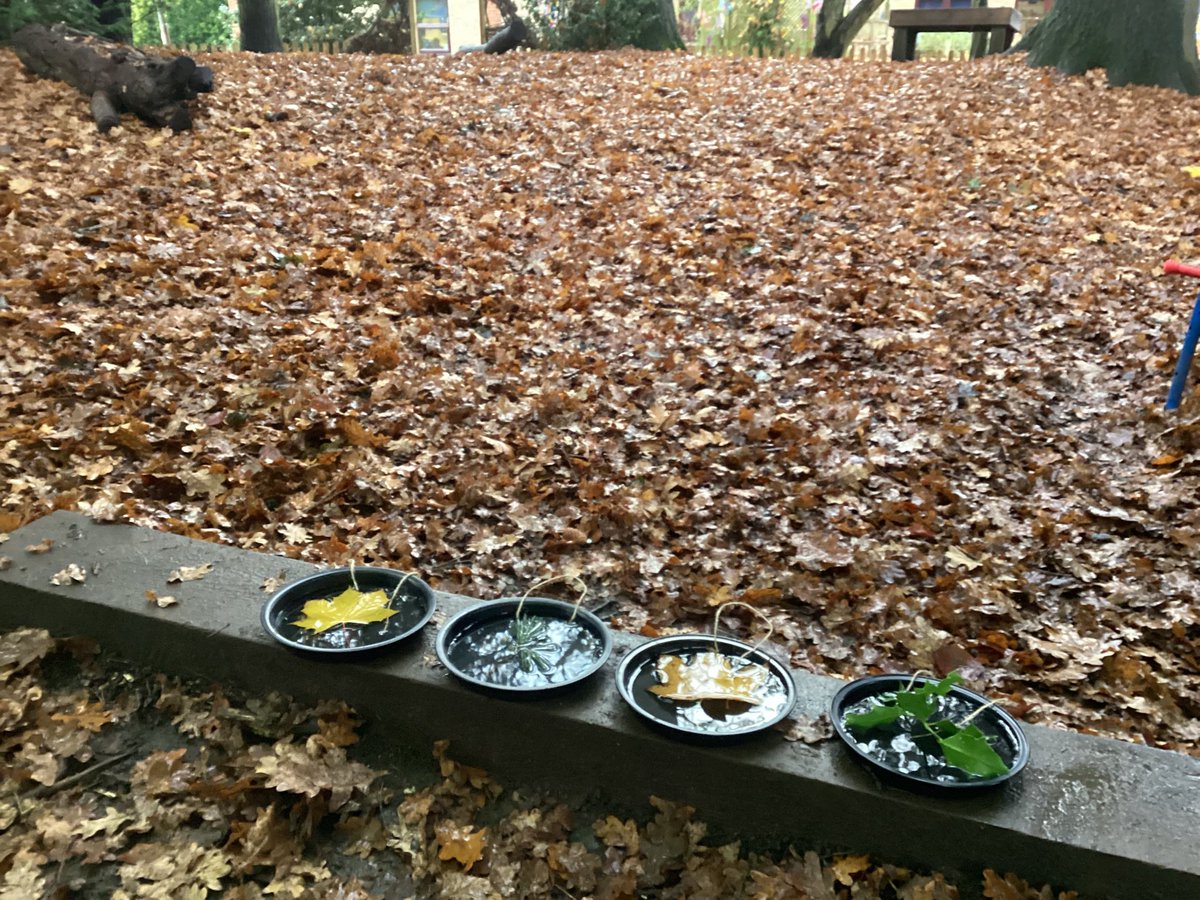StNicksForest's tweet photo. Keeping our hands warm with a hot squash always puts a smile on our faces #StNicksForestSchool will it be cold enough to freeze our ice ornaments ? #StNicksReception #StNicksDiscovery https://t.co/5EnUlBgJVC