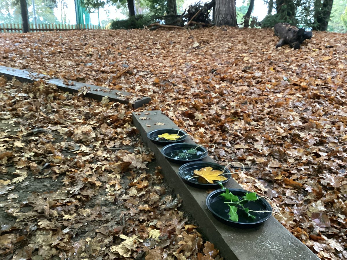 Keeping our hands warm with a hot squash always puts a smile on our faces #StNicksForestSchool will it be cold enough to freeze our ice ornaments ? #StNicksReception #StNicksDiscovery