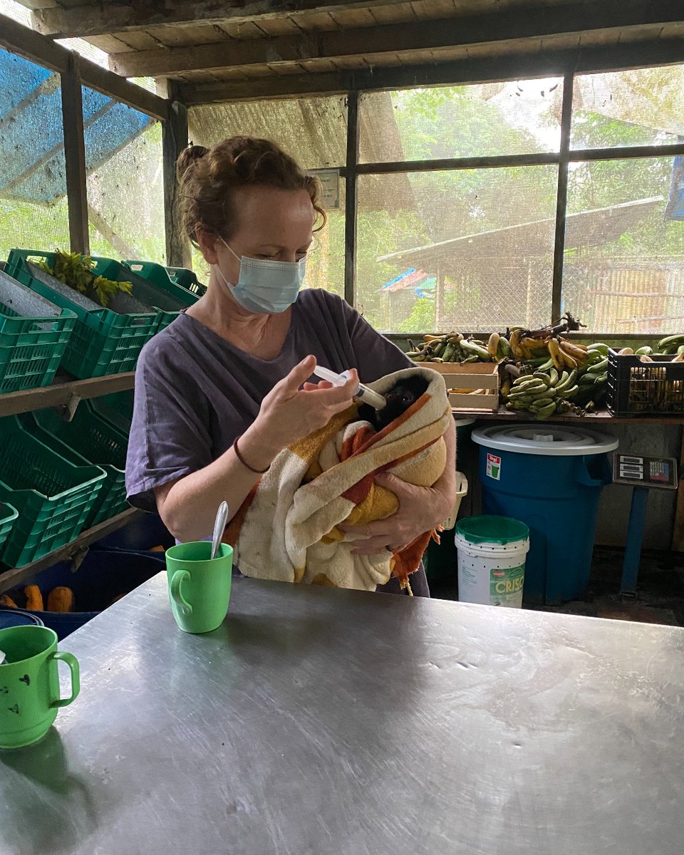 Projects Abroad tweet media