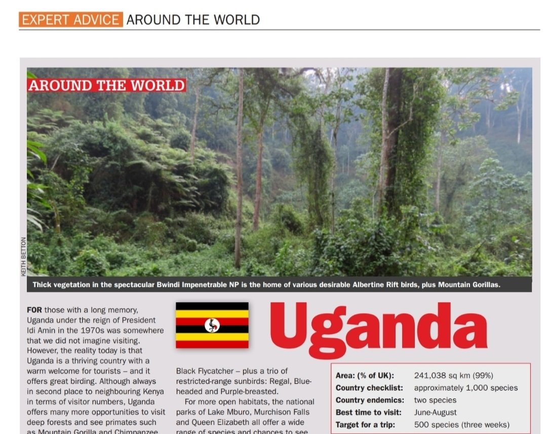Read my profile on Uganda in the December issue of  Birdwatch