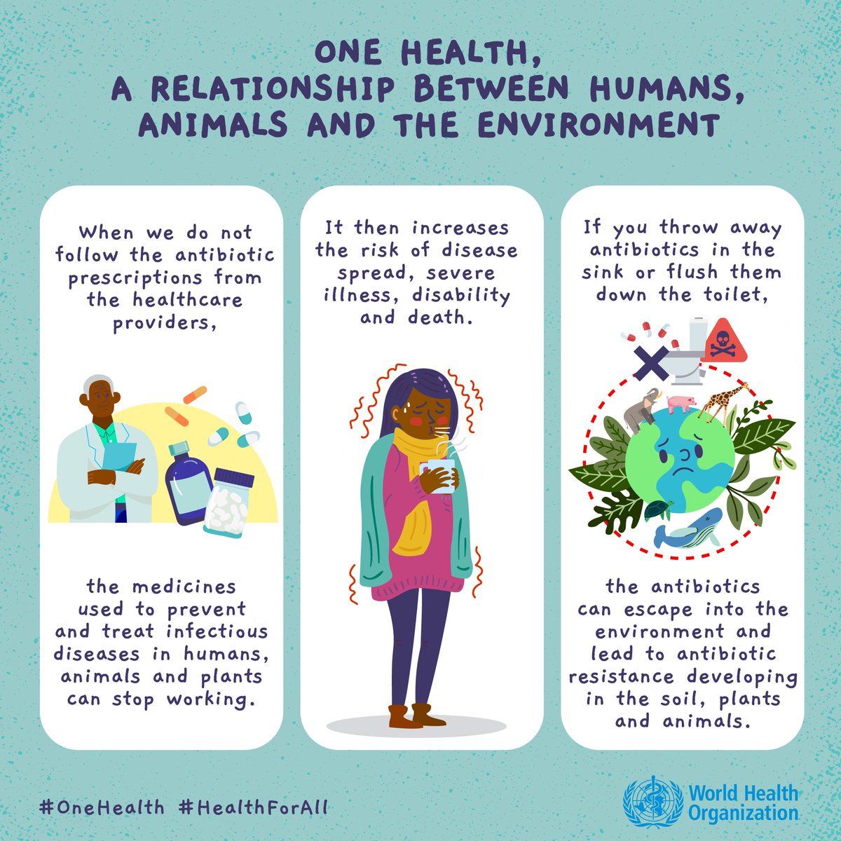 The misuse and overuse of antimicrobials in humans, animals and plants are the main drivers in the development of drug-resistant pathogens, which makes infections harder to treat and makes other medical procedures and treatments much riskier. 

By linking humans, animals and the