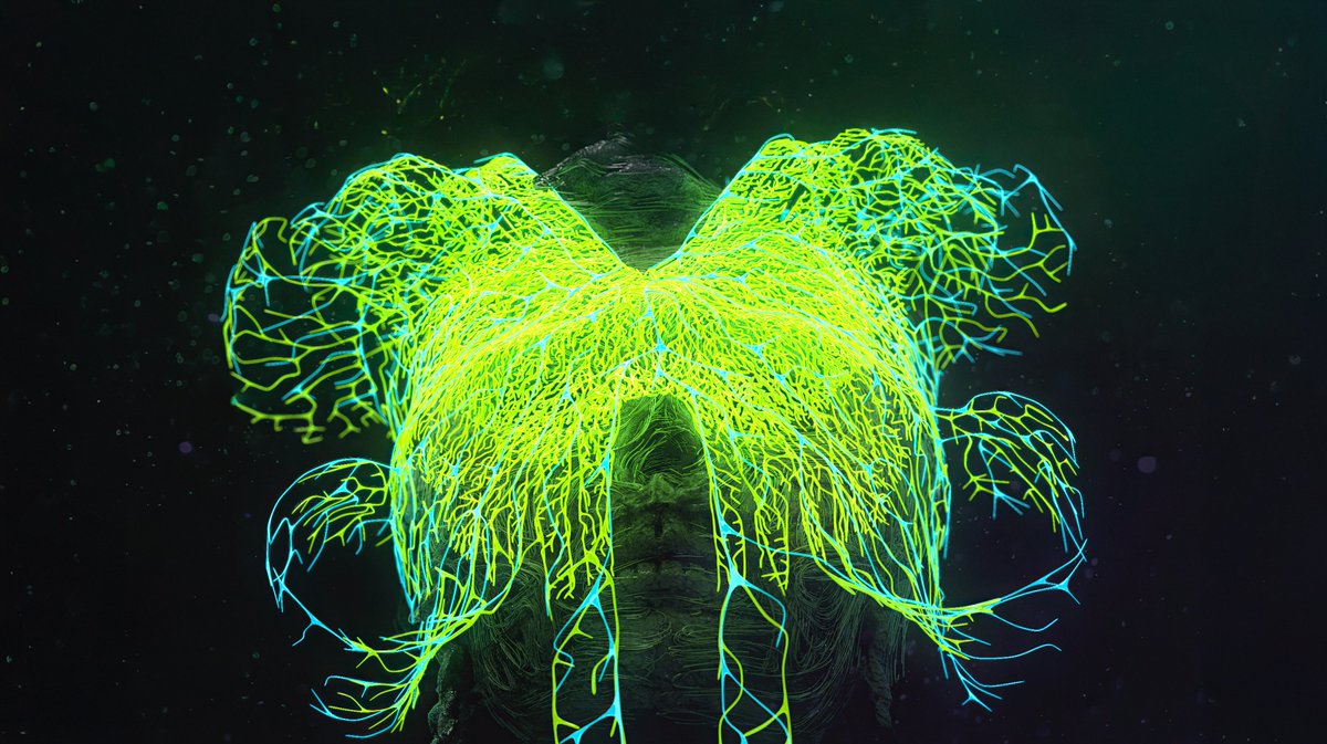 bjork's tweet photo. ( cornucopia the book shipping later this week !! ) 

sharing one of the glowing avatars woven into cornucopia - all of whom are represented in CORNUCOPIA the book. a modern marionette who alchemically mutates, from puppet to puppet, from the injury of a heart wound to a fully healed state. 
this one belongs to notget and was created by warren du preez and nick thornton-jones. 
the others by andrew thomas huang, gabríela friðriksdóttir and pierre-alain giraud, nick knight, tobias gremmler, and warren du preez and nick thornton-jones.
i love all of them and i hope you do too. 

warmthness,

björk

CORNUCOPIA the book • edited and designed at M/M (Paris) • photographs by Santiago Felipe @santiagraphy

PRE-ORDER HERE https://t.co/4MocKYoEIv