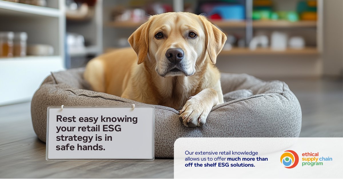 With 20 years’ experience in supply chain risk management, you can be confident your products are in safe hands.
ethicalsupplychain.org/esg-solutions-…