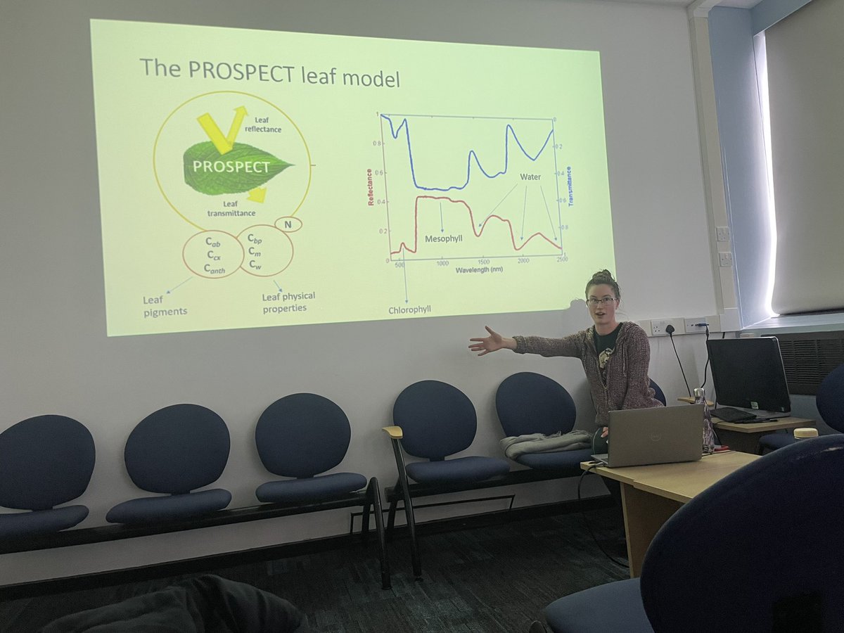 DrCerfUK's tweet photo. Enjoyed listening to a talk by Ellie in @PPS_UoS seminar at @sheffielduni representing @DrHollyCroft lab about modelling functional traits of urban trees from space. https://t.co/jfjfEIuWMo