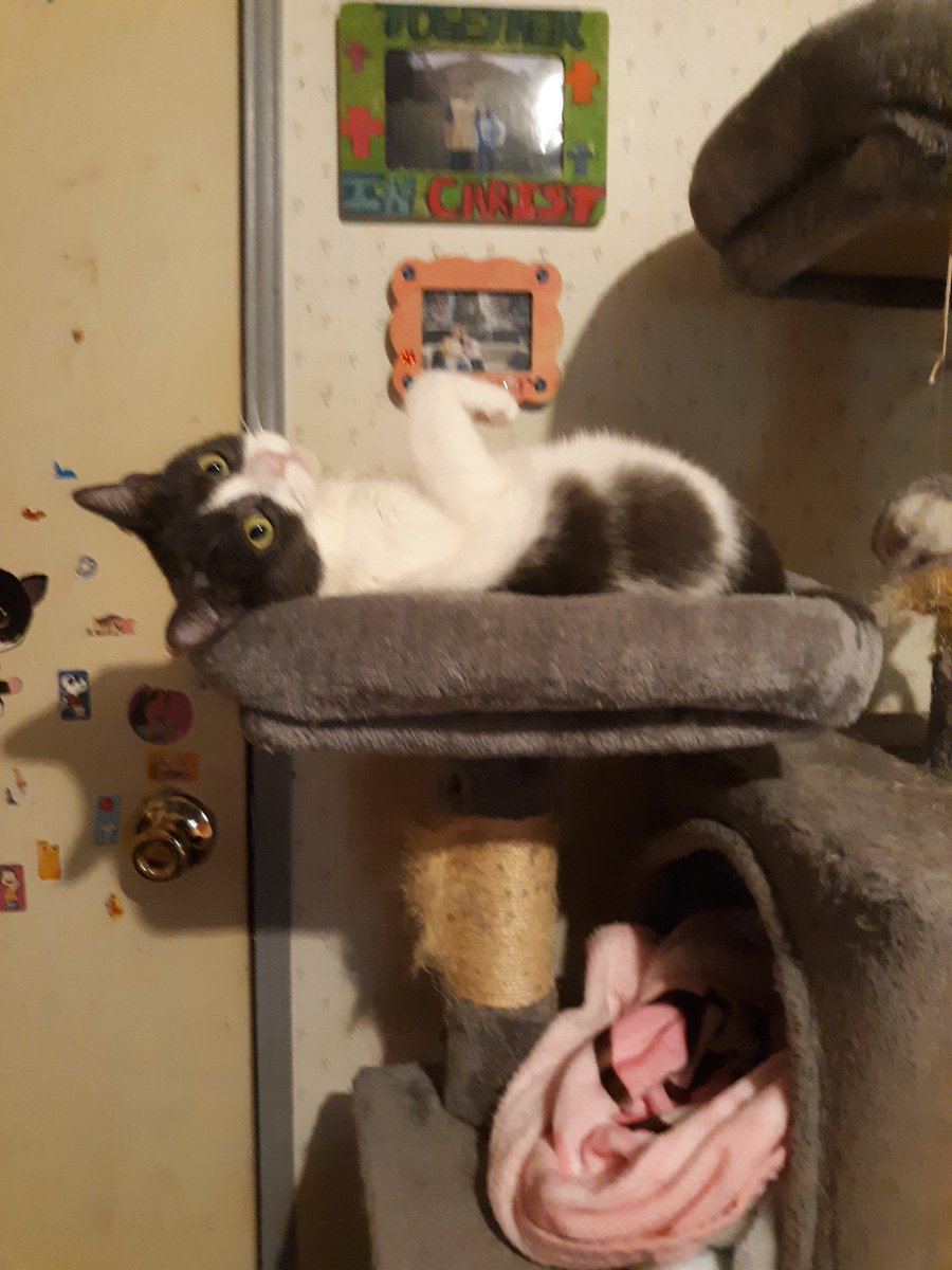 My sweet girl Cloudy😻💖