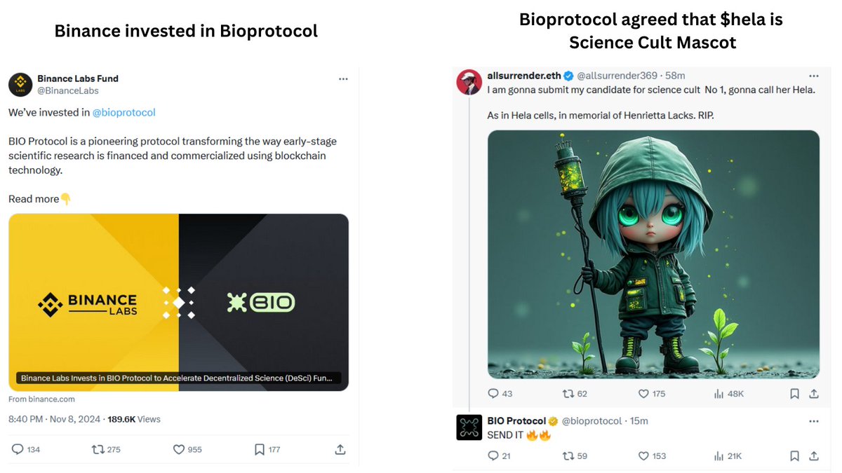crypto_mourinho's tweet photo. Look at this photo.

Binance invested in Bioprotocol
 https://t.co/KDtygtENYV

Bioprotocol agreed Hela should be  Science Cult Mascot.

$Hela  : DRVM9vP5coW4WHsNv1kajhn55duyuua4cJ9NGkSApump

https://t.co/sOG05Zwytw

it is going to , not 100M , not 200M, it is going to 1N and Binance  listing.

You can buy it right now at 7M