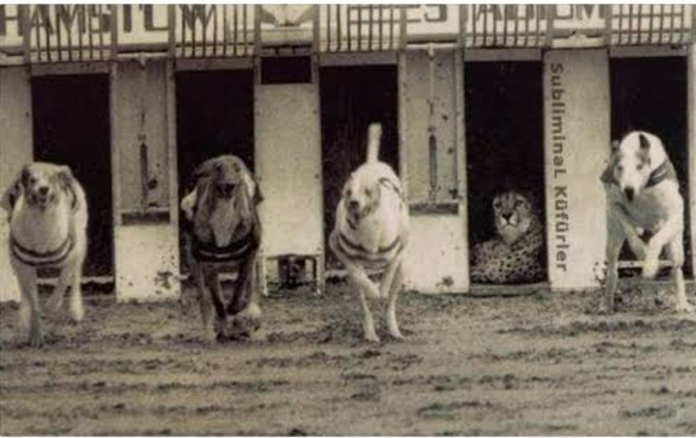 Bazen kendini kanıtlamaya çalışman,
Kendine yaptığın en büyük hakarettir..!!!