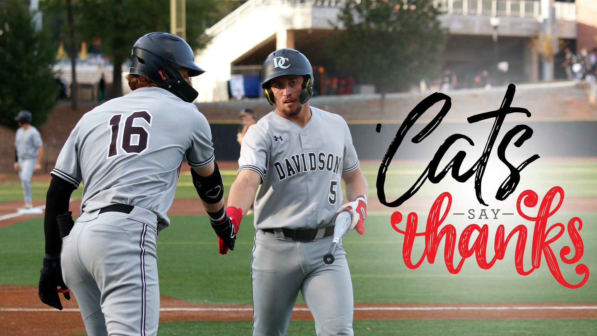 Davidson baseball discount