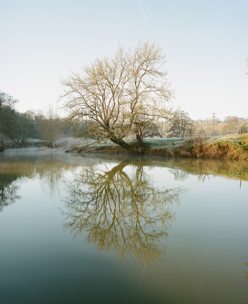 Chilly mornings may be brisk, but they bring plenty of magic too - perfectly captured in this beautiful photo by Adrian H, winner of the 'Seasons' category in our Ancient Tree Photography competition.🌫✨

Keep an eye out for more photography competition winners coming soon!👀⁠