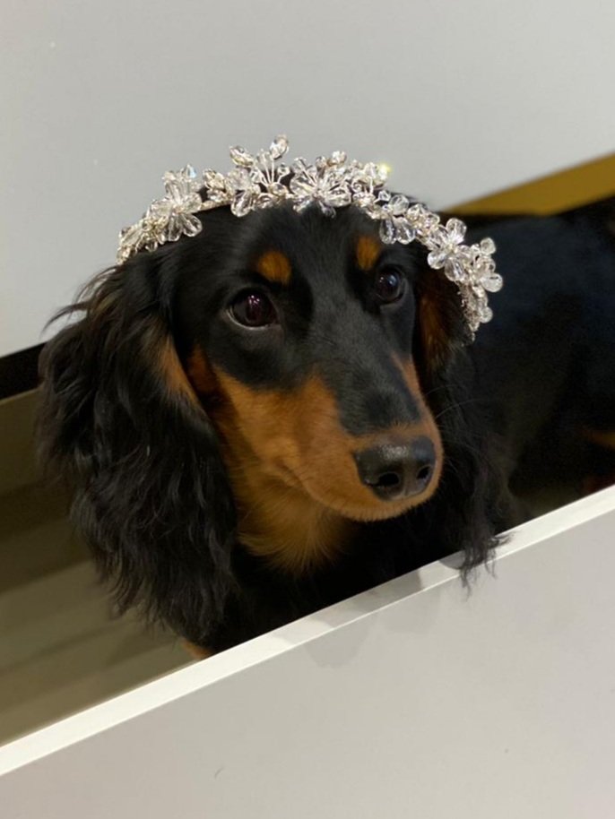 Emma Leyshon tweet media